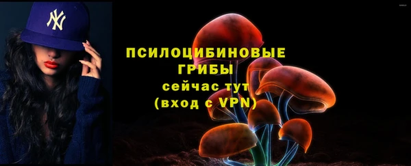 метадон Михайлов
