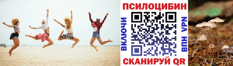 Псилоцибиновые грибы мицелий Шенкурск